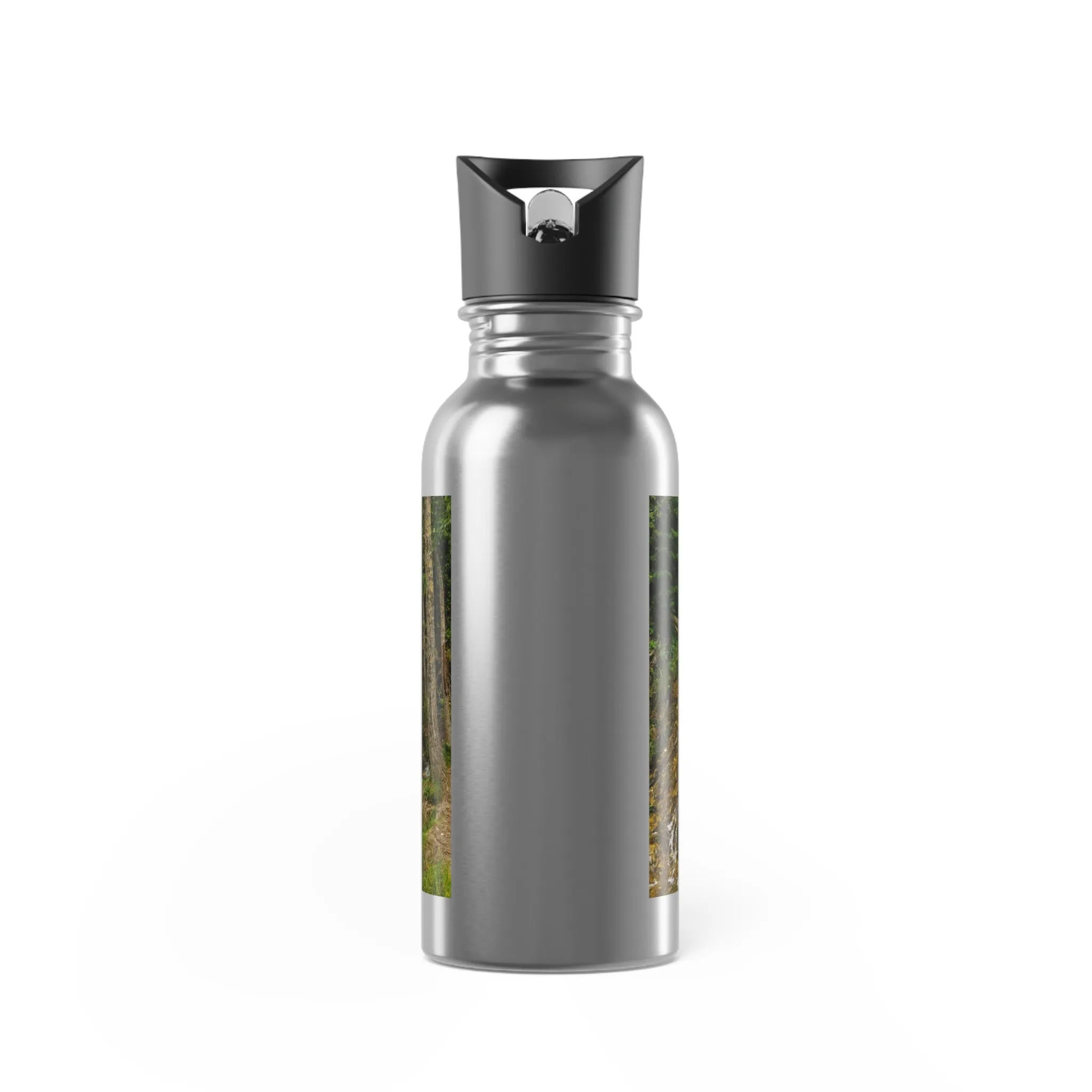 Stainless Steel Water Bottle With Straw, 20oz - Big Hill Springs Park Waterfall